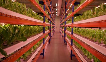 ‘World’s largest’ vertical farm officially opens in Dubai