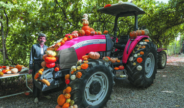 Kurdish Iraqi farmer sprouts online advice, green awareness