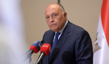 Egypt’s FM addresses Caribbean meeting on climate change