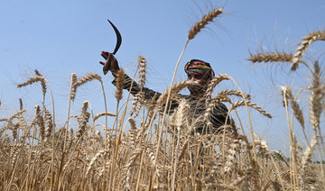 Pakistan says Russia ready to provide wheat as food crisis looms