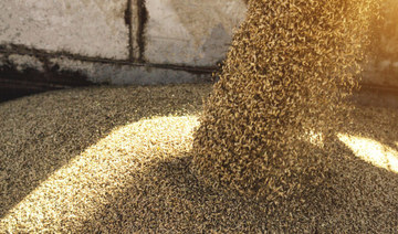 SAGO issues tender to import 556k metric tons of wheat