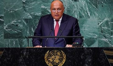 Urgent reform of UN needed, says Egypt’s FM Shoukry