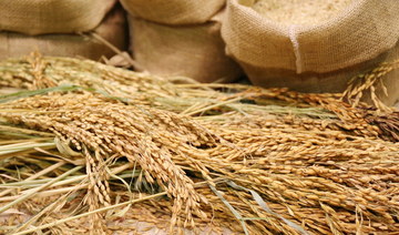 SAGO buys 16k tons of wheat for $7.9m from local farmers  