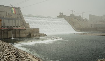 Egypt renews commitment to settling Grand Ethiopian Renaissance Dam crisis