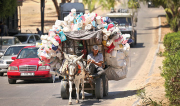 Israeli ban on donkey import stops the wheel of Gaza cart economy