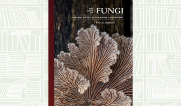 What We Are Reading Today: The Lives of Fungi by Britt Bunyard