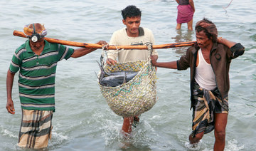 Yemen’s fish prices fall as export ban restocks market