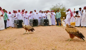 Saudi wildlife center uses satellite tracking devices to monitor animals