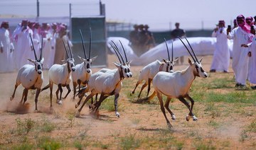 Saudi wildlife center releases 40 endangered animals into King Abdulaziz Royal Reserve