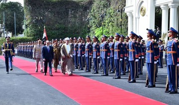 Egypt, Oman back diplomatic efforts to solve regional crises