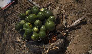 Gaza Strip’s Palestinians polarized by unorthodox watermelon delicacy