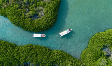 Saudi Arabia’s Farasan Islands offer rich biodiversity and ecotourism potential 