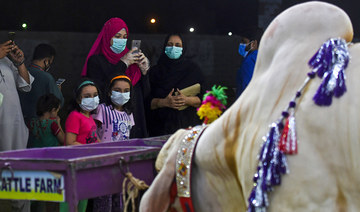 In Karachi this Eid, a cattle market of the women, by the women, for the women