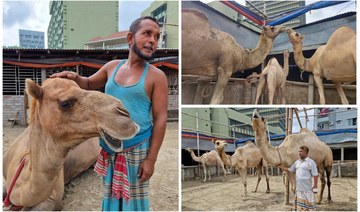 Feast of fortune: Rich Bangladeshis choose camels for special Eid sacrifice