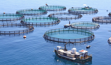 Arab Organization for Agricultural Development seeks Egypt support for Lebanese fish farms