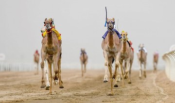 Crown Prince Camel Festival to begin Aug. 1