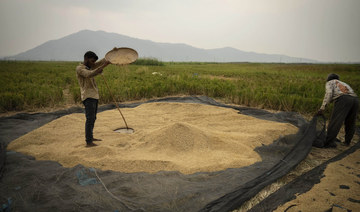 Rice crops are being threatened by El Nino after grain supplies were disrupted by the war in Ukraine