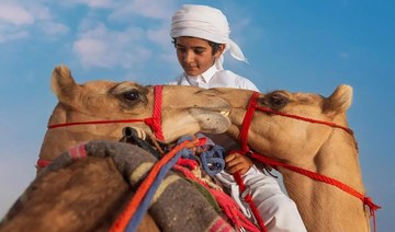 Crown Prince Camel Festival seeks more record-breaking achievements