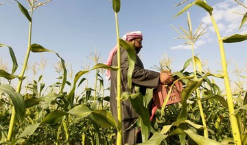 Deal signed to boost efficiency of Saudi farmers, ensure food security