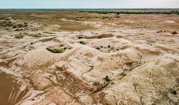 China, Arab countries to establish research center for desertification, land degradation