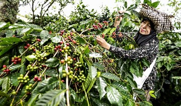 Saudi-based ITFC’s initiatives support coffee farmers in Indonesia