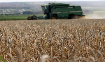 Erdogan calls for Russia to not be ‘marginalized’ in grain deal