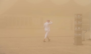 Saudi Arabia participates in international conference on combating sand storms held in Tehran