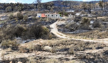 Tunisia, Italy strengthen ties on disaster management, forest fire response