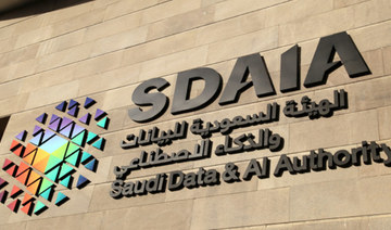 Saudi data chiefs launch new training initiative in latest AI push