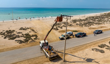 Insulators in Farasan Islands Reserve to protect birds