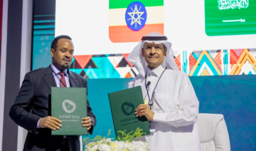 Saudi energy minister signs 5 MoUs with African countries in sustainability push