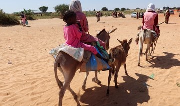 EU warns of ‘another genocide’ in Darfur