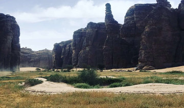 The commission aims to increase green areas in AlUla, employ the best international practices to manage natural reserves. (SPA)