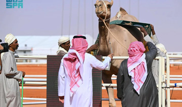 The 8th King Abdulaziz Camel Festival set to bring ‘glory’ to Al-Sayahid