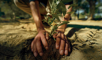 Saudi initiative to plant 100,000 trees in Bahrain