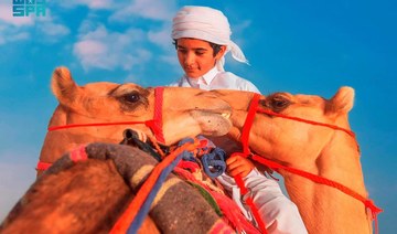 The bond between Arabs and camels in the vast deserts of the region is deep. (SPA)