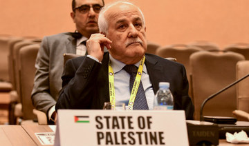 Palestinian ambassador to UN calls on Non-Aligned Movement to pressure Israel to enforce ceasefire