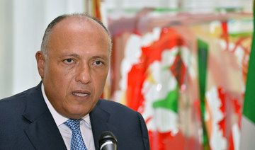 Egyptian foreign minister Sameh Shoukry. (AFP file photo)
