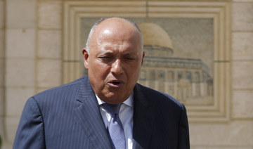Egyptian Foreign Minister Sameh Shoukry. (AP)