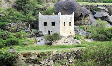 Natural landscape inspires vibrant tapestry of Asir’s historic homes