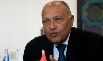 Egypt’s foreign minister heads to Slovenia to boost relationship