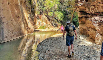 ‘Jeddah Go Outdoors’ offers hiking trips to experience Saudi Arabia’s natural splendor