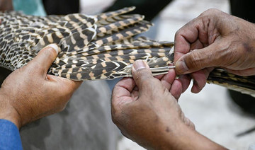 Art of falcon feather repair thrives in Kingdom