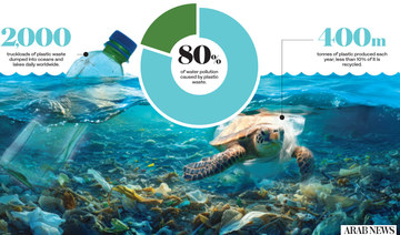 How Saudi Arabia is protecting marine habitats by tackling plastic waste 