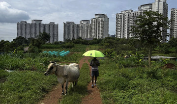 India has millions of dairy farmers. It’s creating a methane problem that’s tricky to solve