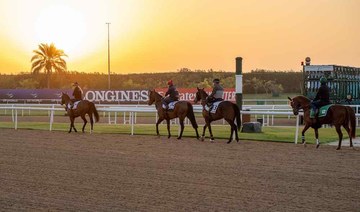 Dubai World Cup will be UAE’s most-watched sporting event of 2024: Survey