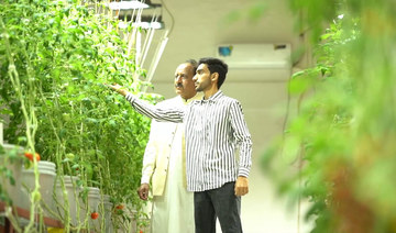 In Pakistan’s Hyderabad, storehouse hydroponic farm beats drought, land degradation