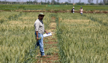 Morocco’s farming revolution: defying drought with science