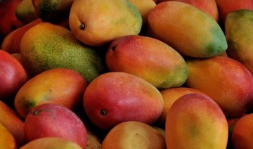 Al-Qunfudah celebrates mango festival as production grows