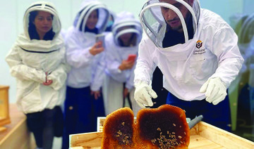 Saudi Reef program provides $37.3m of support to Kingdom’s honey industry